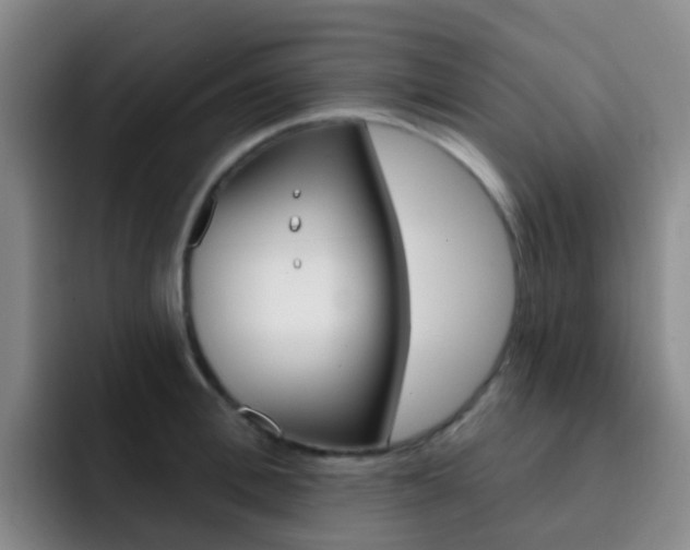 X0000093110996200709260942