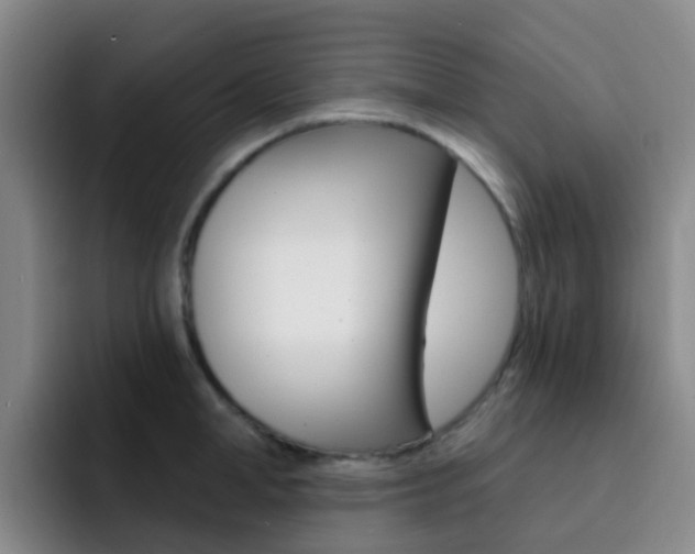 X0000093110998200709260942