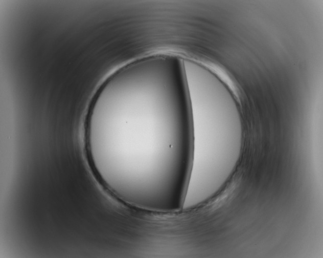 X0000093110999200709260942
