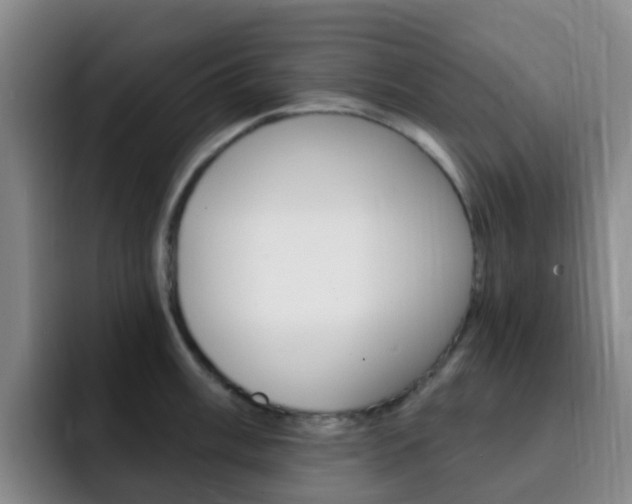X0000093111003200709260942