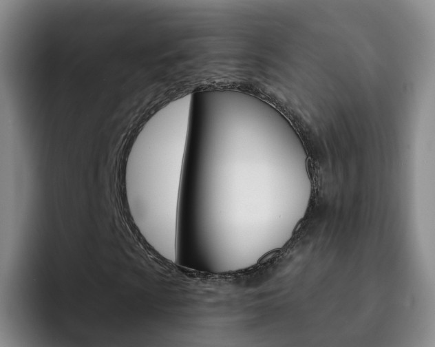 X0000093111009200709260941