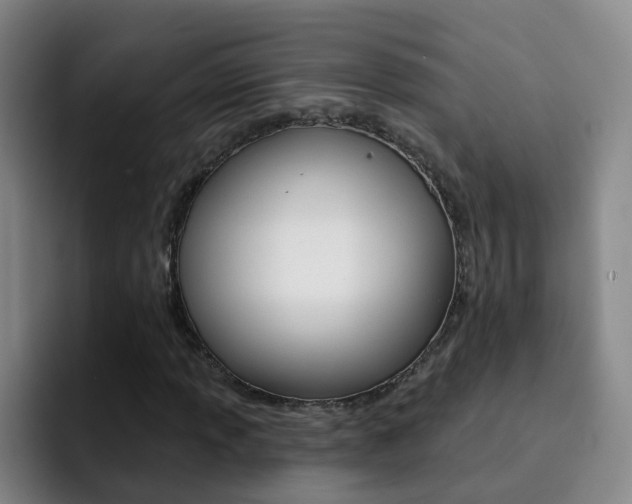 X0000093111013200709260942