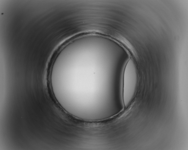 X0000093111020200709260942