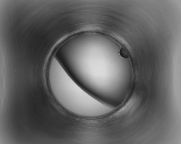X0000093111029200709260942