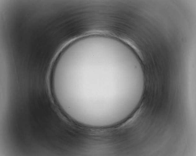 X0000093111030200709260942