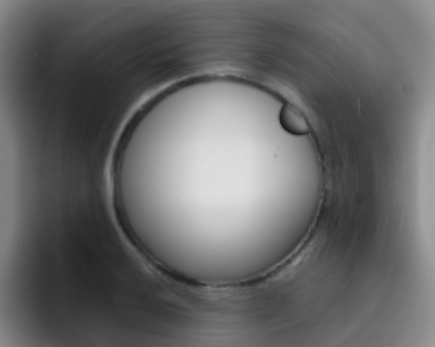 X0000093111032200709260942