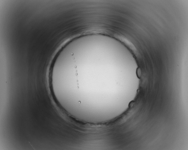 X0000093111039200709260942