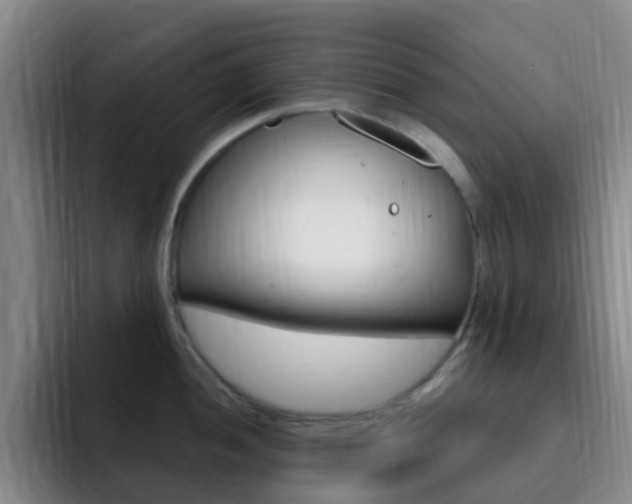 X0000093111052200709260942