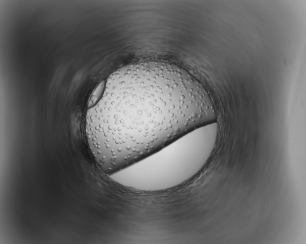 X0000093111059200709260941