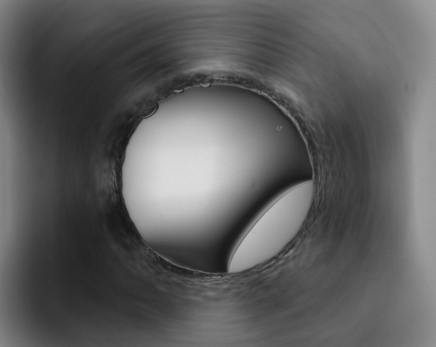 X0000093111062200709260941