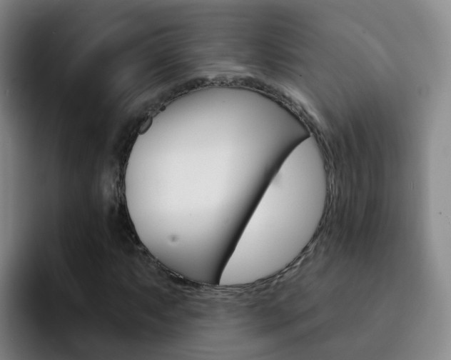 X0000093111063200709260941