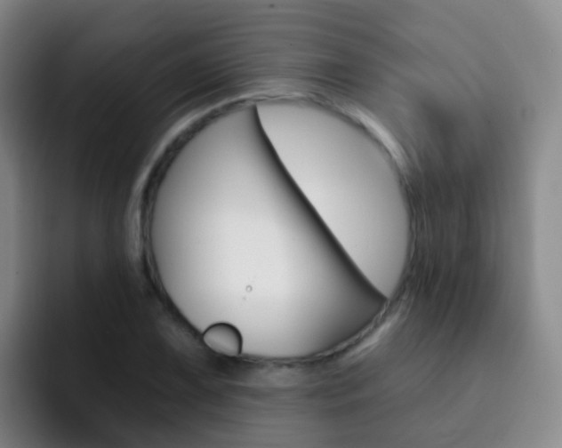 X0000093111075200709260941