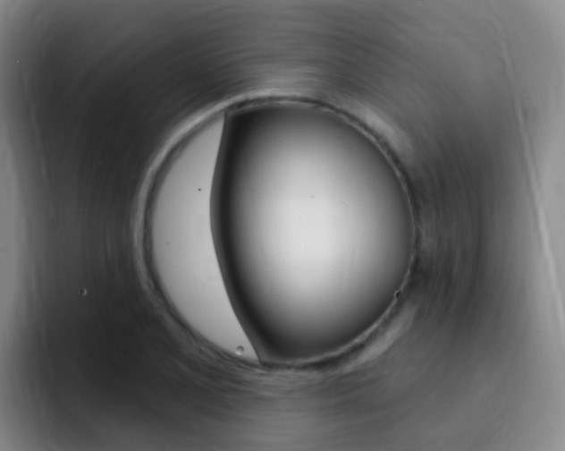 X0000093111077200709260941