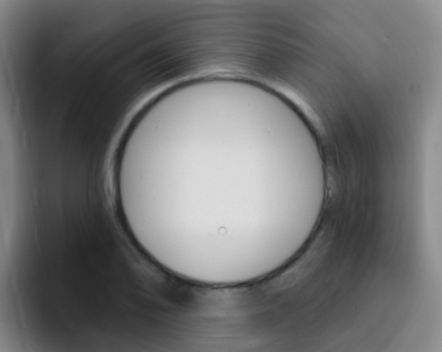 X0000093111078200709260941