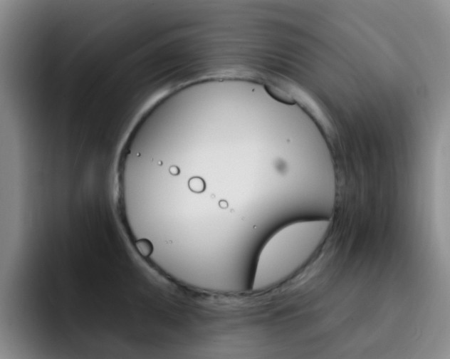X0000093111095200709260941