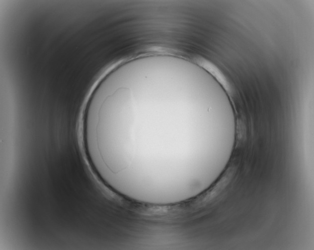 X0000093111098200709260941