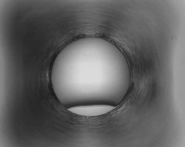 X0000093111106200709260940