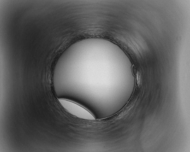 X0000093111107200709260940
