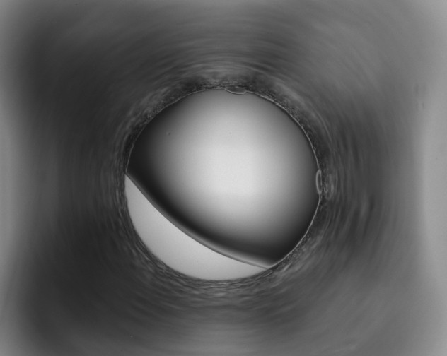 X0000093111108200709260940