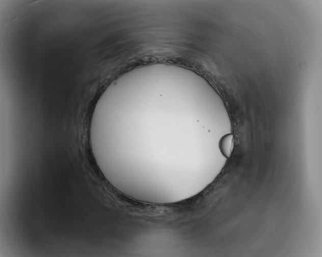 X0000093111109200709260940