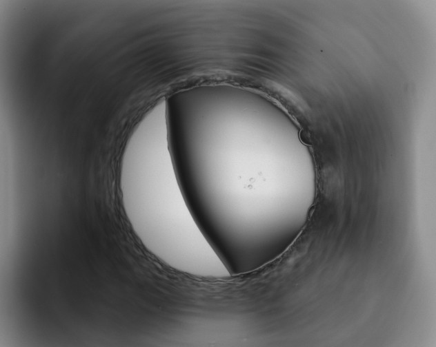 X0000093111111200709260940