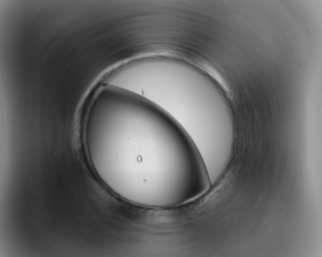 X0000093111116200709260940