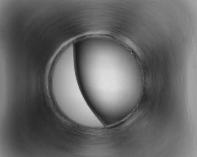 X0000093111124200709260941