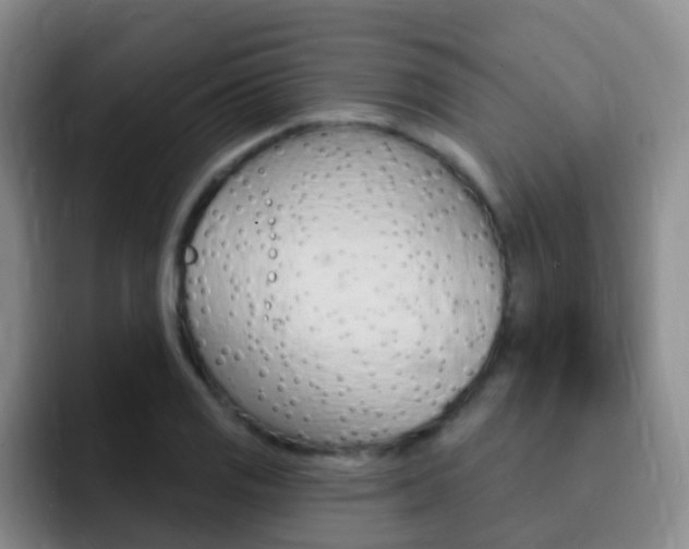 X0000093111125200709260941