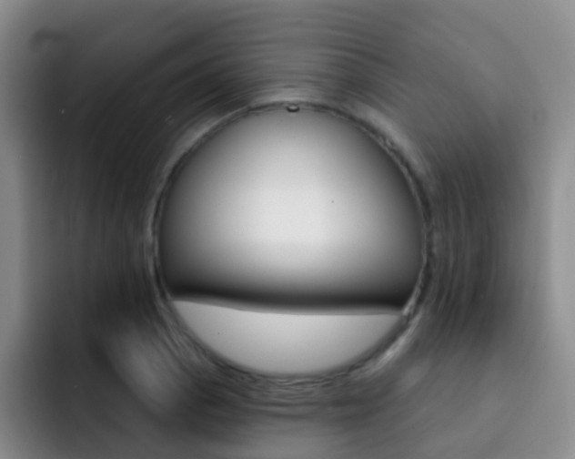 X0000093111129200709260941