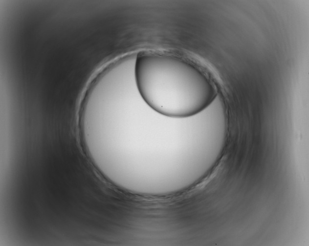 X0000093111168200709260940
