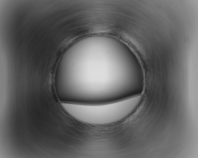 X0000093111169200709260940