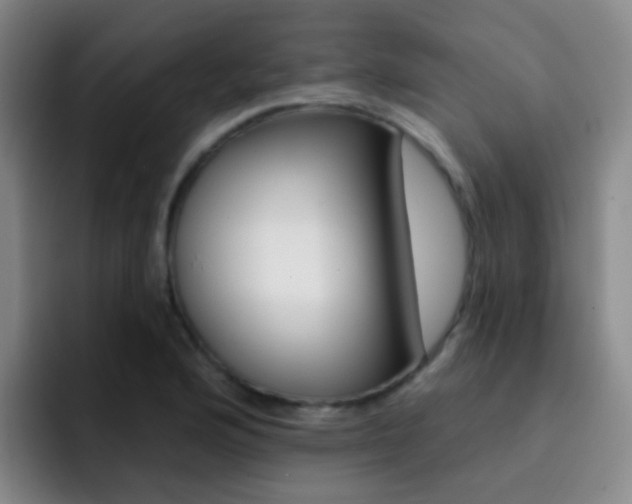 X0000093111176200709260940