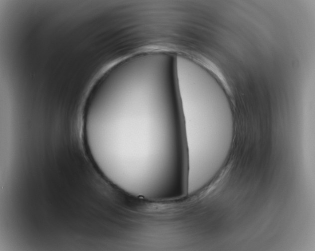 X0000093111179200709260940