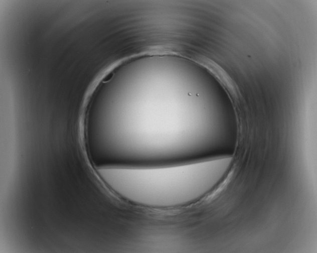 X0000093111196200709260940