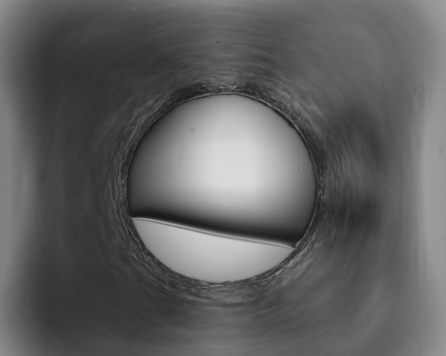 X0000093111201200709260939