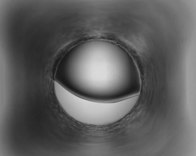 X0000093111206200709260939