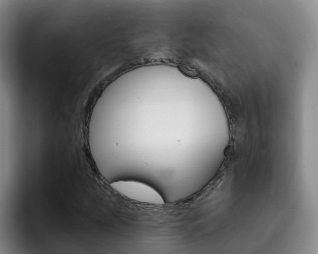 X0000093111207200709260939