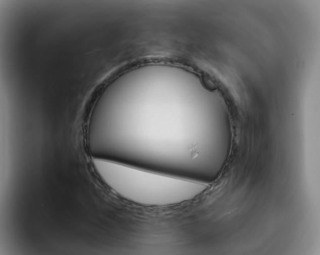 X0000093111208200709260939
