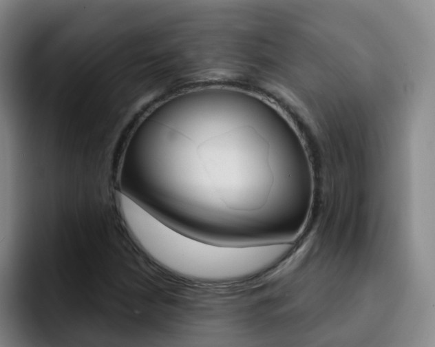 X0000093111210200709260939