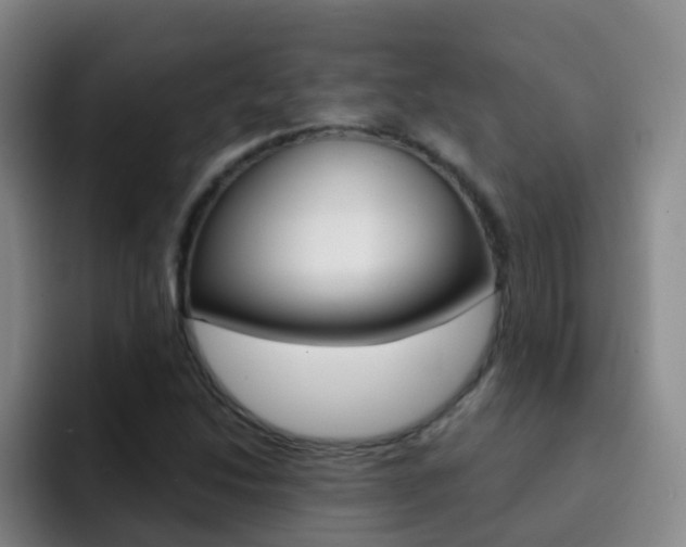 X0000093111214200709260939