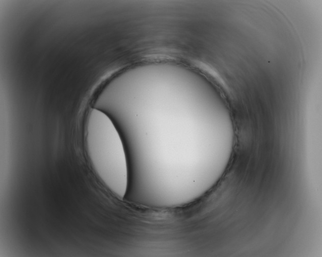 X0000093111219200709260939
