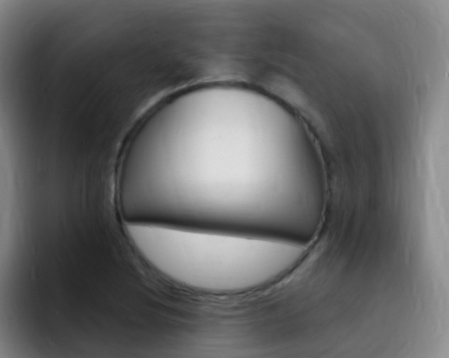 X0000093111220200709260939