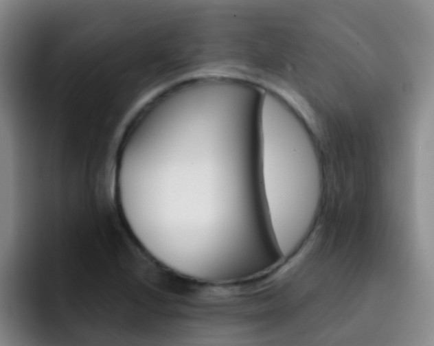 X0000093111224200709260940