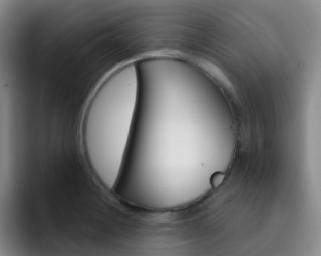 X0000093111228200709260940