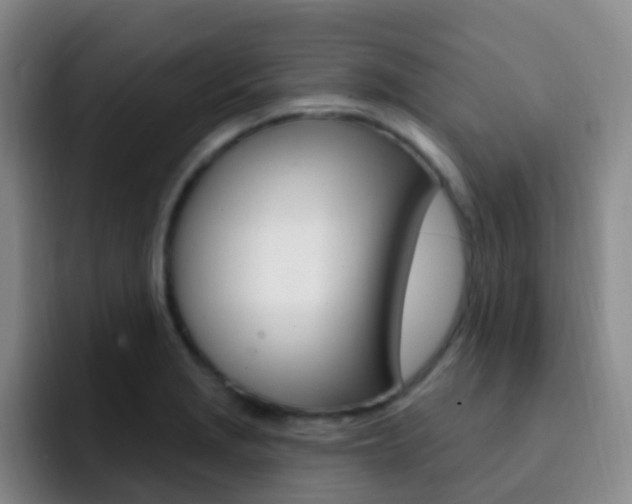 X0000093111229200709260940