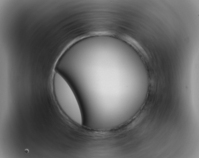 X0000093111236200709260940