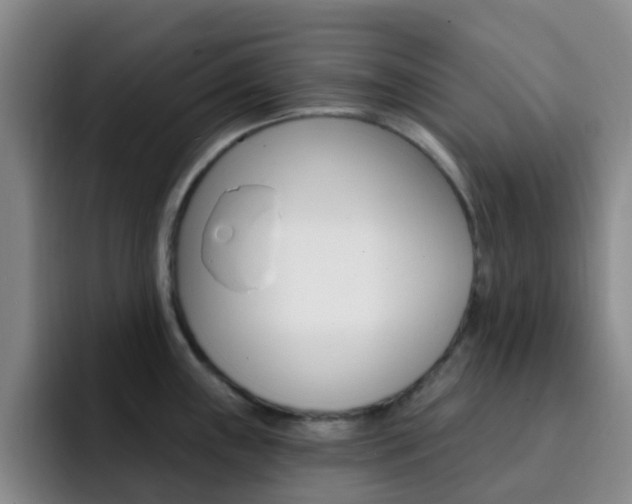 X0000093111243200709260940