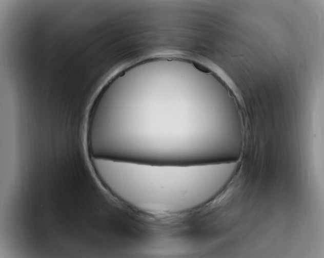 X0000093111245200709260940
