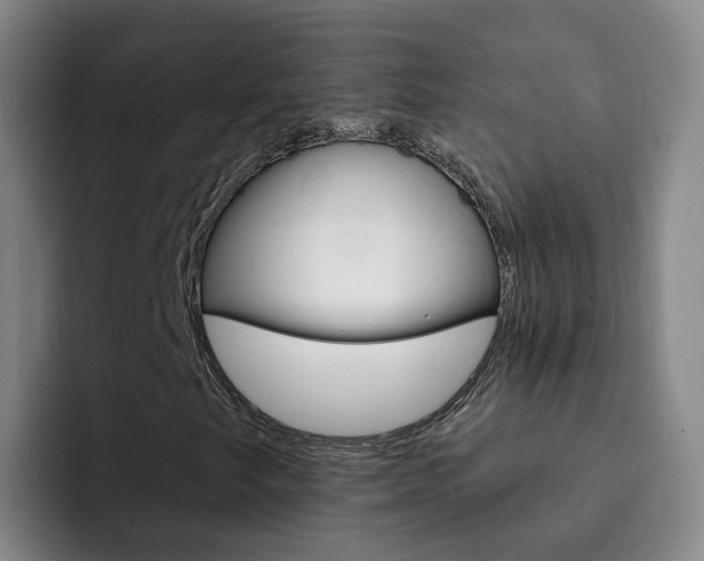 X0000093111249200709260939