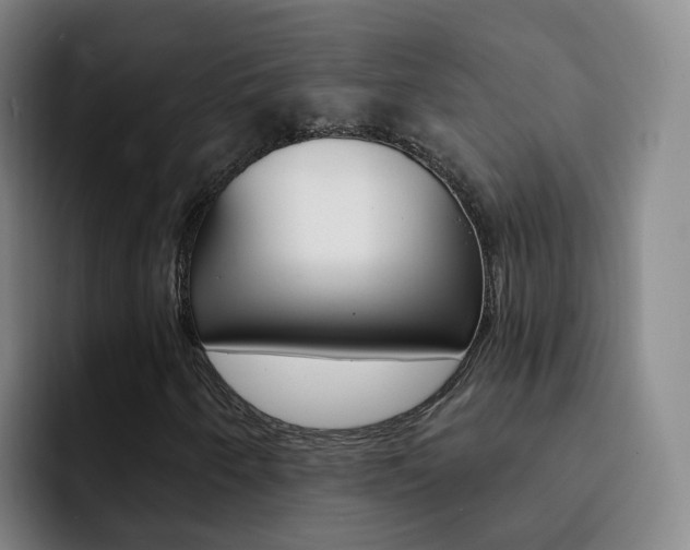 X0000093111250200709260939